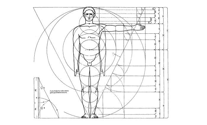 insan ölçüleri
