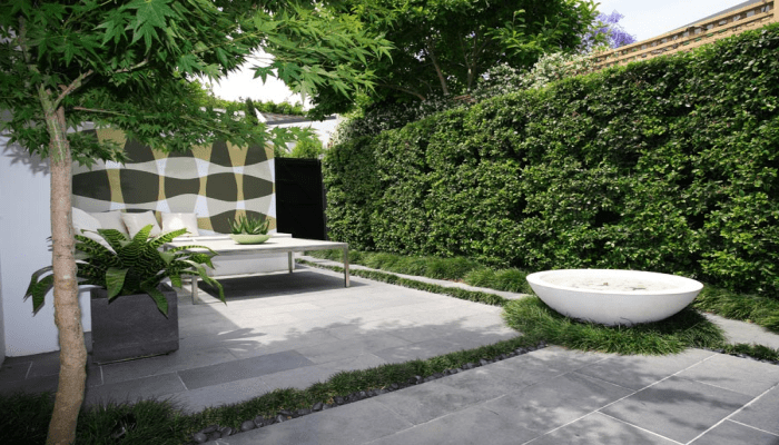minimalist bahçe